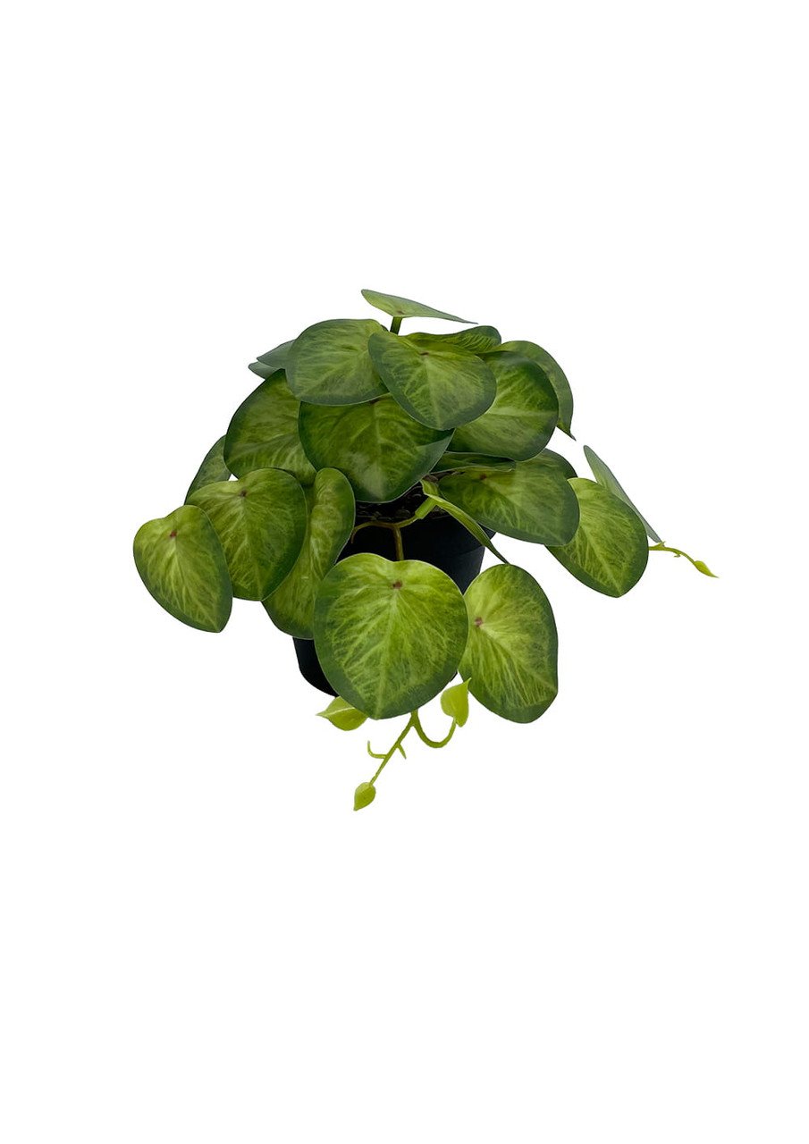 Plante Pilea artificielle 19 cm