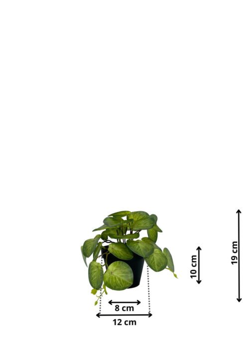 Plante Pilea artificielle 19 cm · arbre artificiel décoratif · détail texture