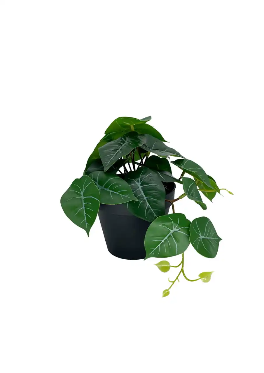 Plante artificielle Filodendron 20 cm