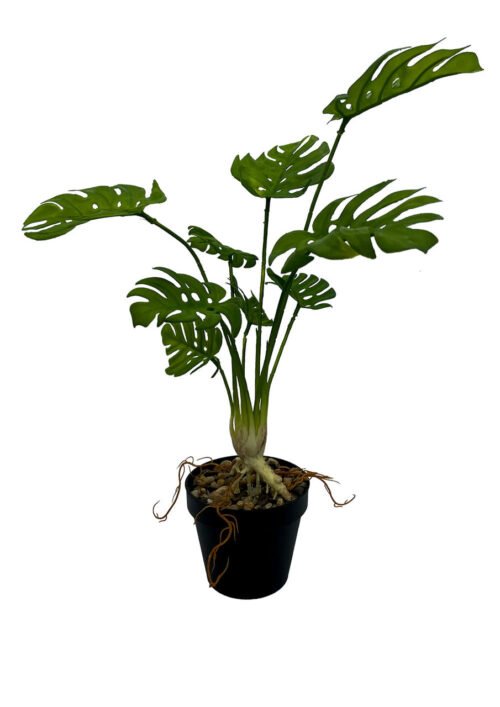 Plante Monstera artificielle 53 cm · plante artificielle réaliste · vue principale Plante Monstera artificielle 53 cm · plante artificielle réaliste · vue principale