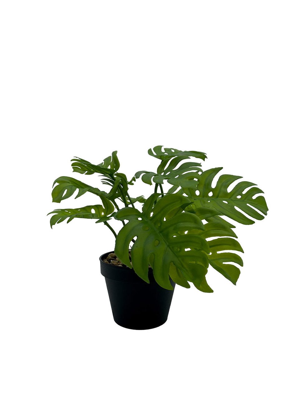 Plante Monstera artificielle 20 cm