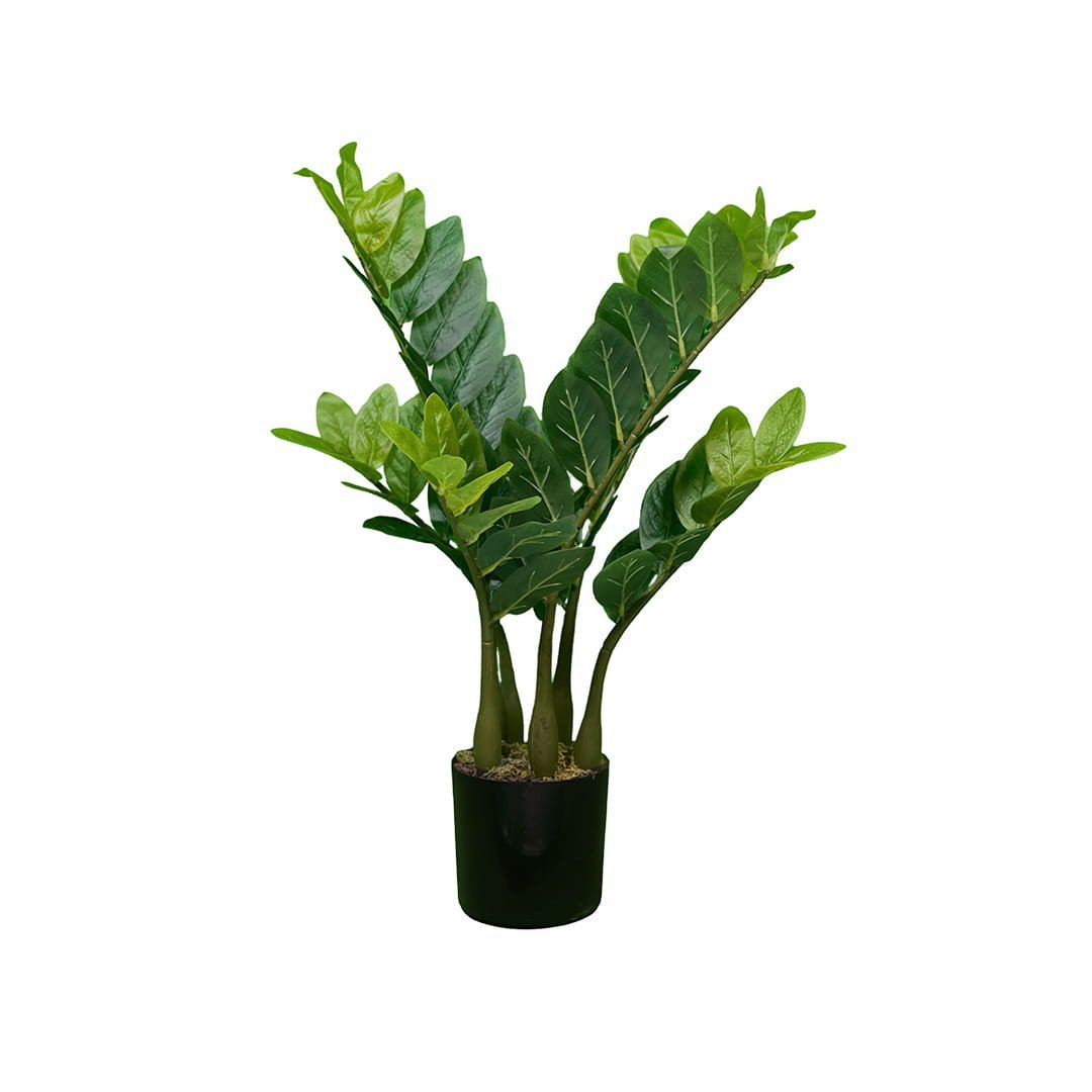 Plante artificielle Zamiokulkas 60 cm