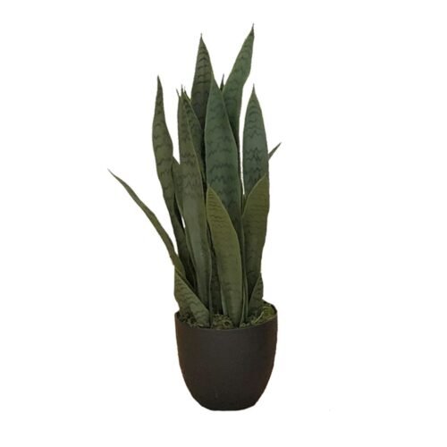 Plante artificielle Sansevieria Zelenica 65 cm