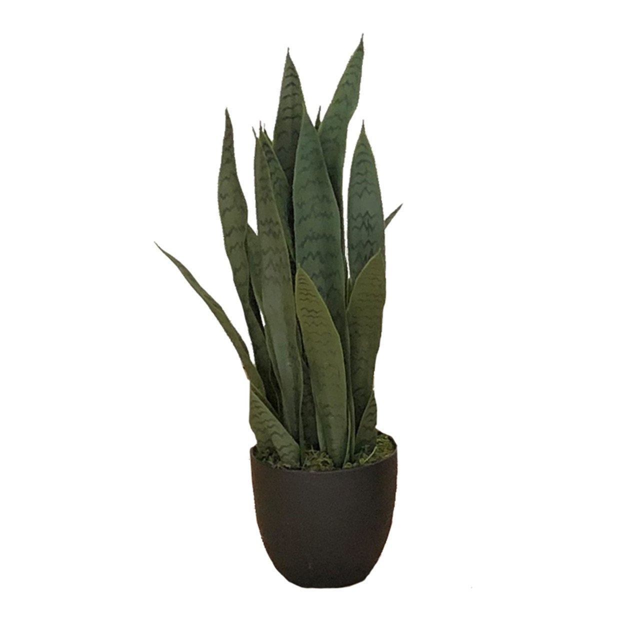 Plante artificielle Sansevieria Zelenica 65 cm