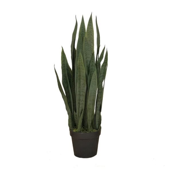 Plante artificielle Sansevieria Zelenica 90 cm