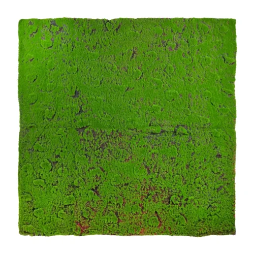 Tapis de mousse Płonnik 100x100cm · 100 × 100 cm Tapis de mousse Płonnik 100x100cm · 100 × 100 cm