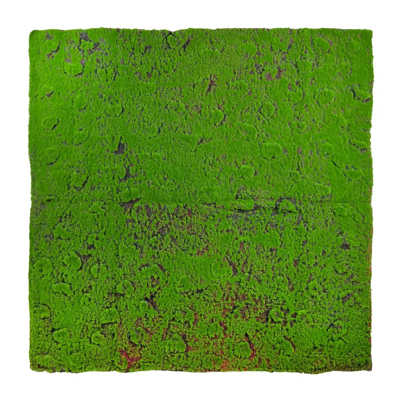 Tapis de mousse Płonnik 100x100cm