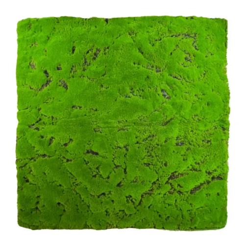 Tapis de mousse Dywanowy 100x100cm · 100 × 100 cm Tapis de mousse Dywanowy 100x100cm · 100 × 100 cm