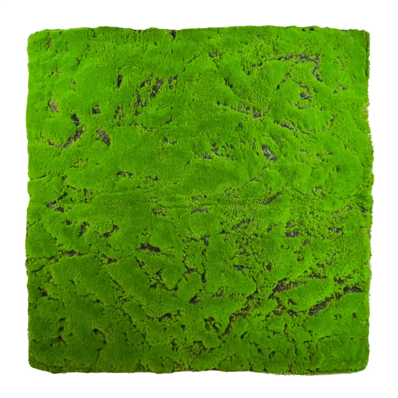 Tapis de mousse Dywanowy 100x100cm