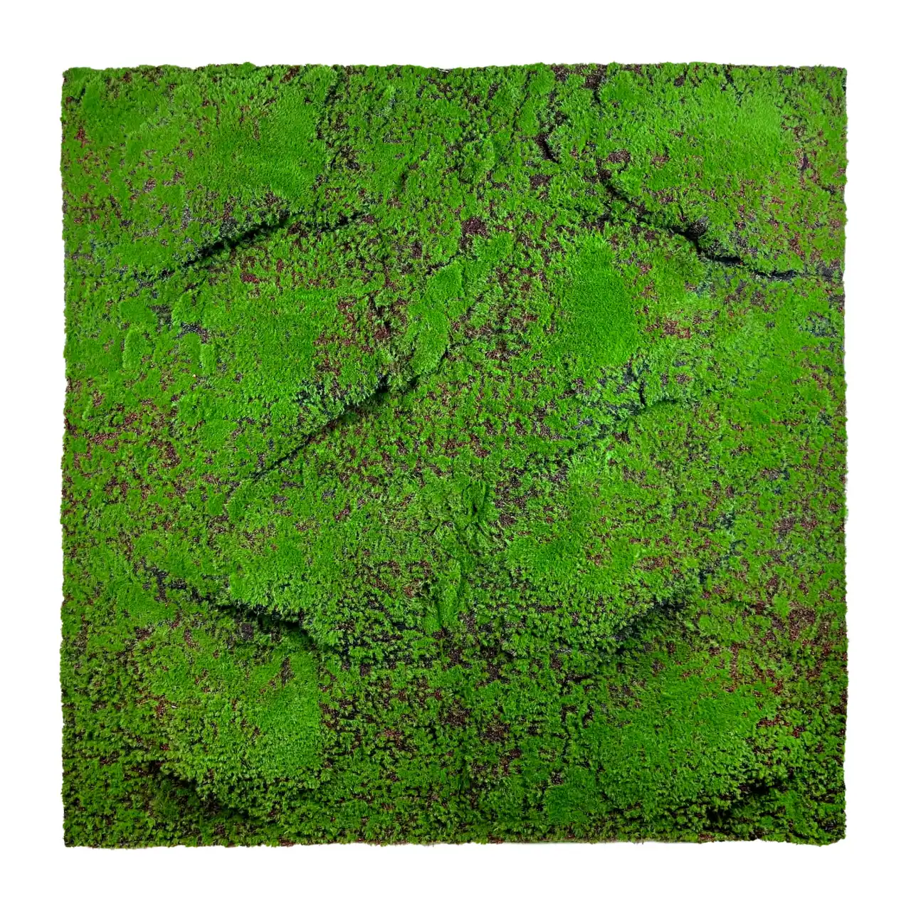 Tapis de mousse Górski 100x100cm