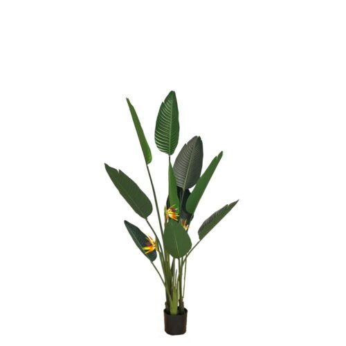 Plante artificielle Strelicja z kwiatami 155cm · hauteur 155 cm