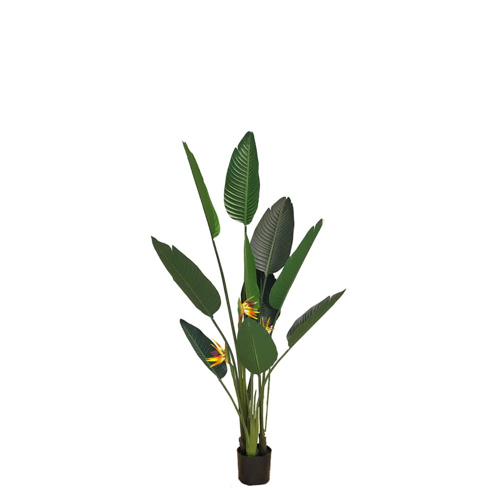 Plante artificielle Strelicja z kwiatami 155cm