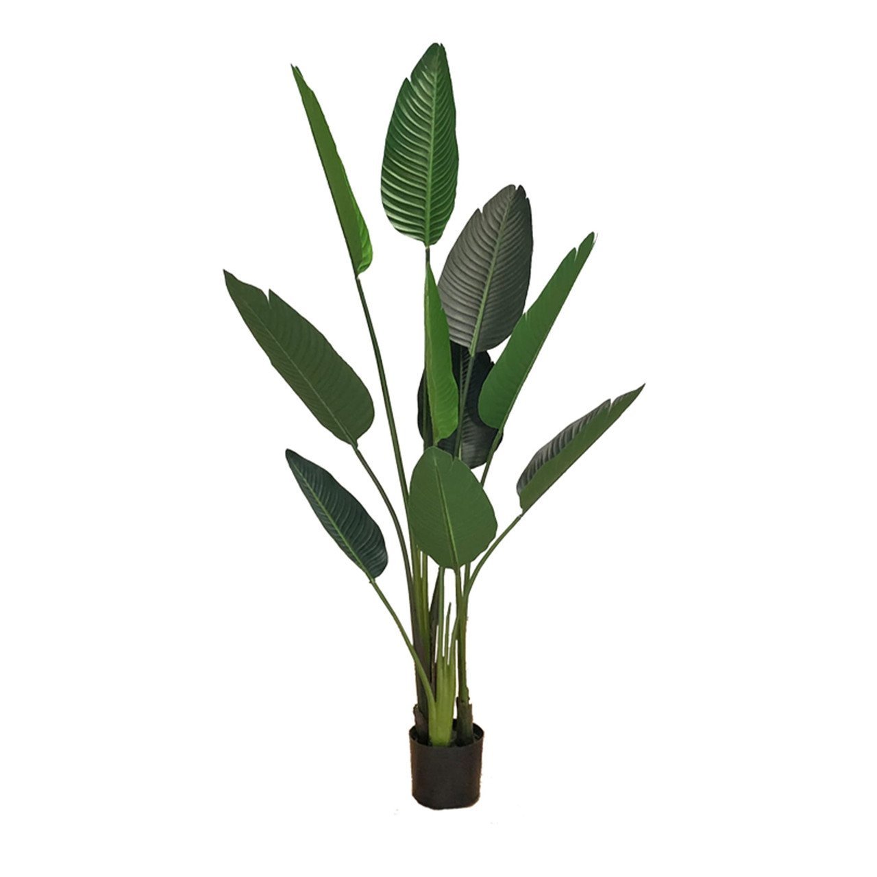 Plante artificielle Strelicja 155 cm