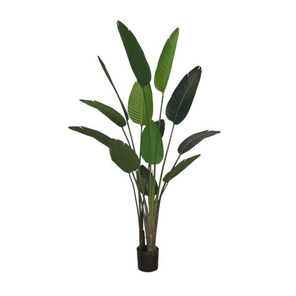 Plante artificielle Strelicja 220 cm