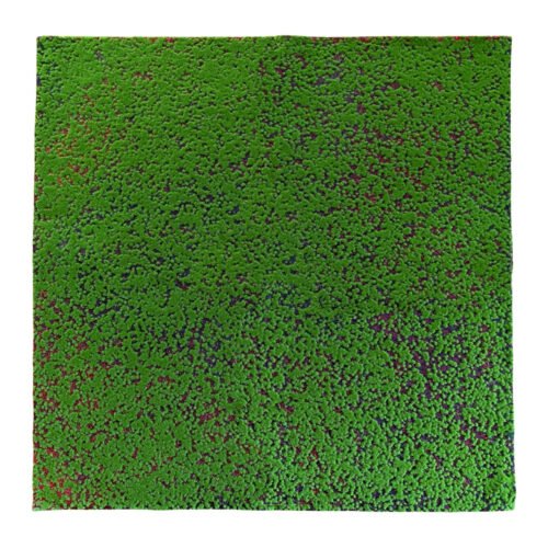 Mousse décorative artificielle 100x100cm 100×100 cm · plante artificielle réaliste · vue principale Mousse décorative artificielle 100x100cm 100×100 cm · plante artificielle réaliste · vue principale