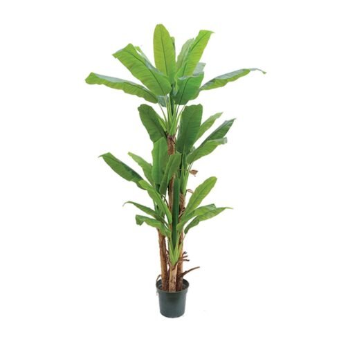 Arbre artificiel Bananowiec 200 cm