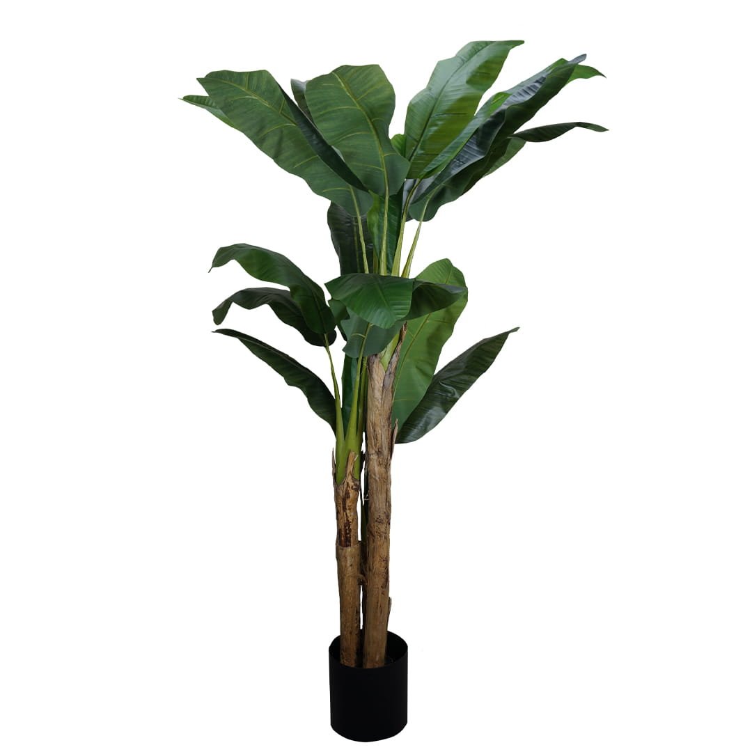 Plante artificielle Bananowiec 180cm