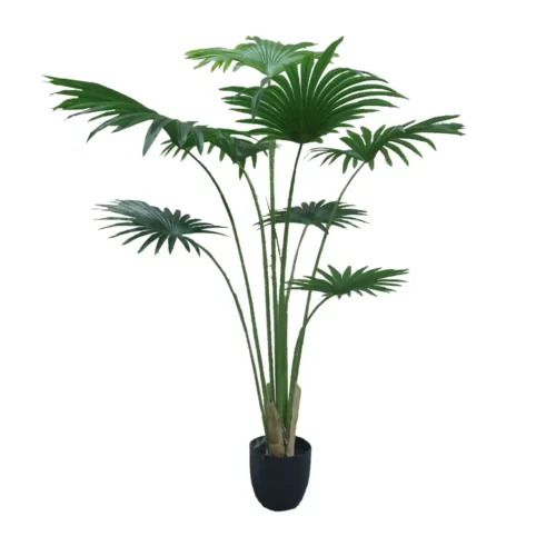 Plante artificielle verte Washingtonia Robusta 200cm · hauteur 200 cm