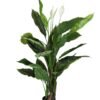 Plante décorative Ailes de fleurs 120 cm
