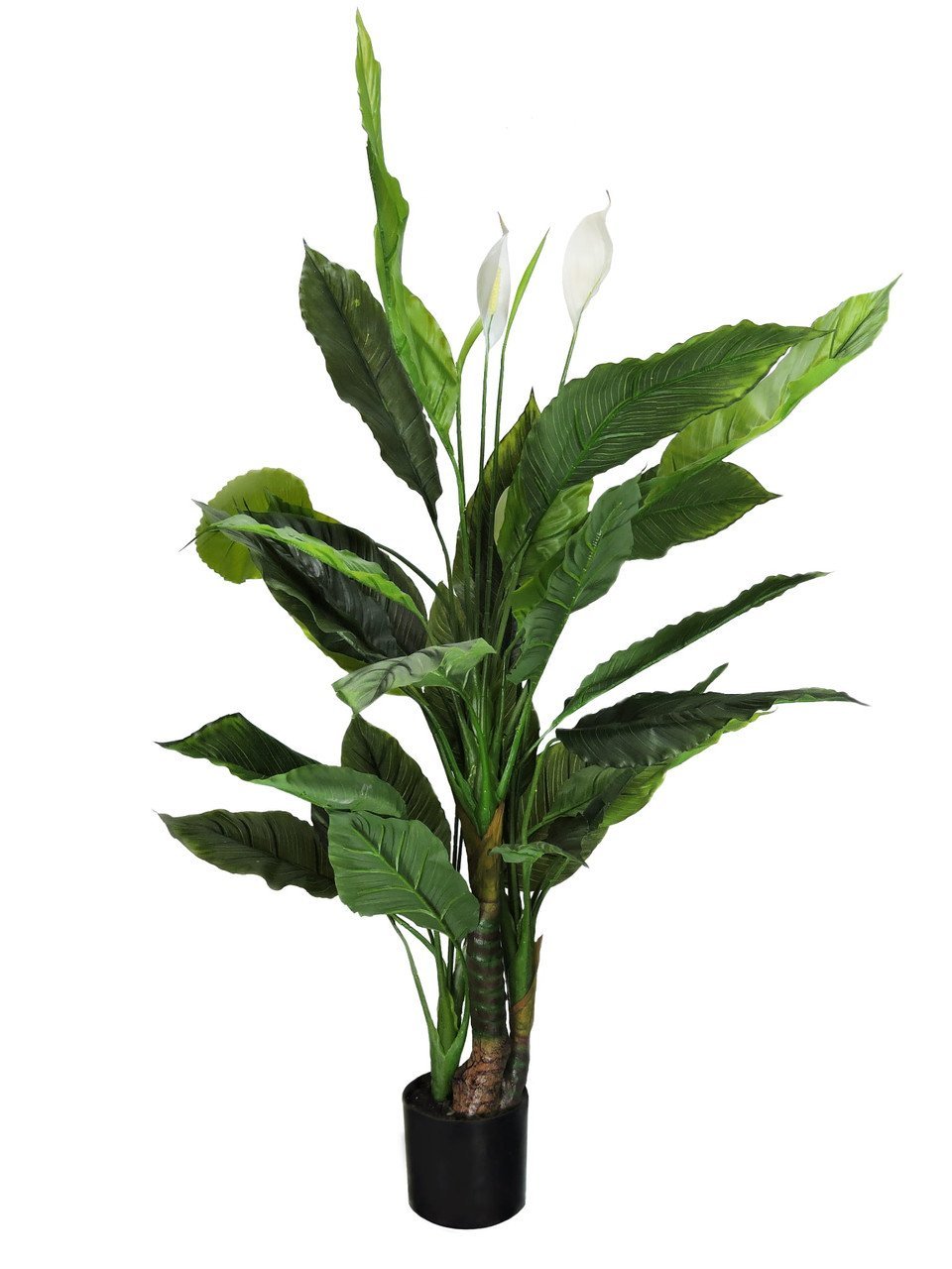 Plante décorative Ailes de fleurs 120 cm