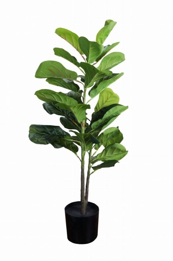 Plante décorative Ficus 90 cm