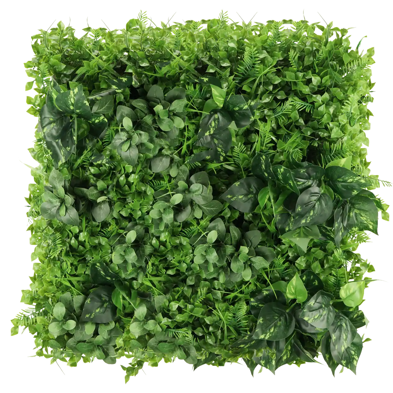 Mur végétal Azalia 50x50cm