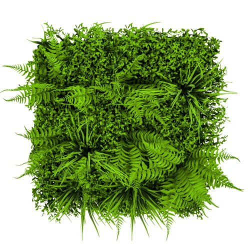Mur végétal Paprotka 50x50cm · 50 × 50 cm Mur végétal Paprotka 50x50cm · 50 × 50 cm