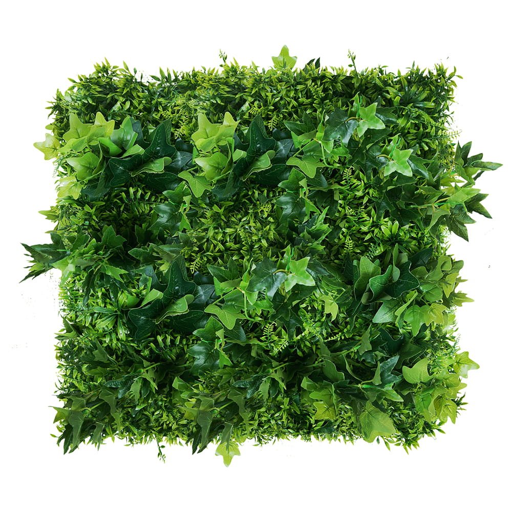Mur végétal Hedera 50x50cm