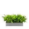 Insert pour pot de fleurs Nature Pride