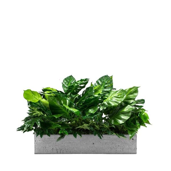 Insert pour pot de fleurs Las Palmas