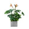 Insert pour pot de fleurs Sunrise