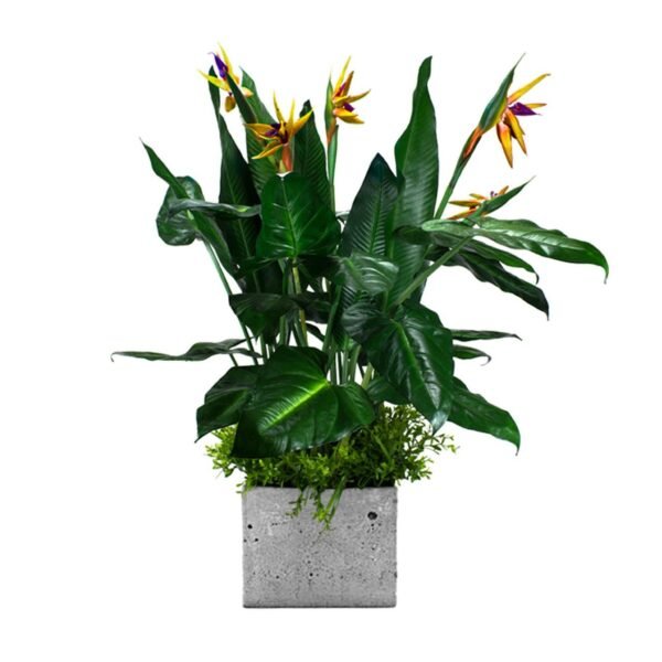 Insert pour pot de fleurs Paradise Bird
