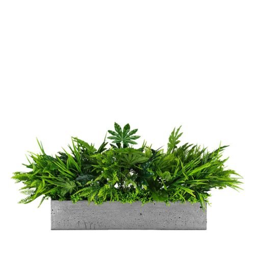 Réservoir à fleurs Dove