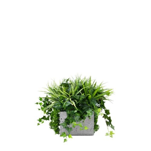 Insert pour pot de fleurs Blue Jay