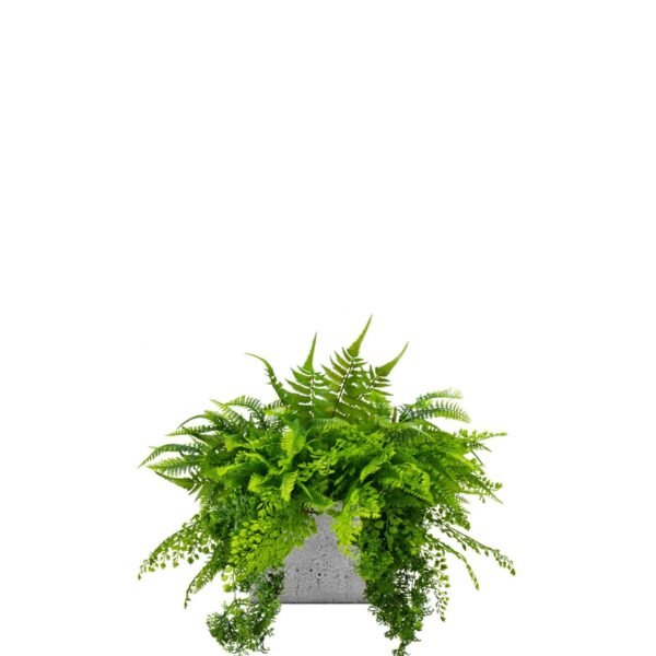 Insert pour pot de fleurs Ibis