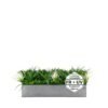 Support à plantes Treeswift FR UV