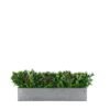 Insert pour pot de fleurs Passerine FR UV