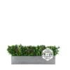 Insert pour pot de fleurs Passerine FR UV