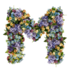 Fusion Fleurie Litera
