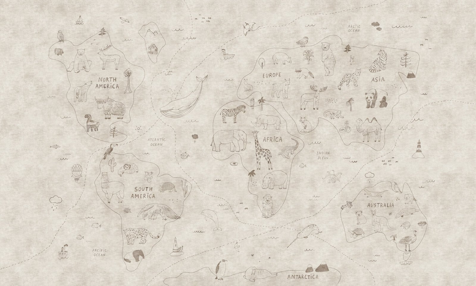 Animondo 1