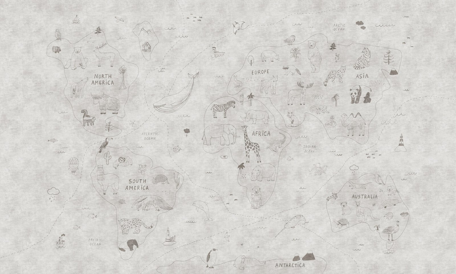 Animondo 2