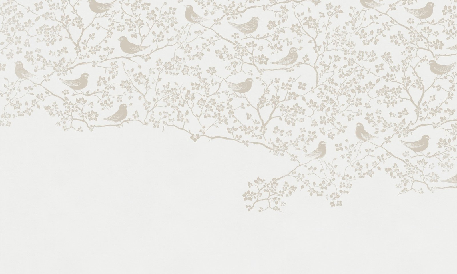 Birdy 2