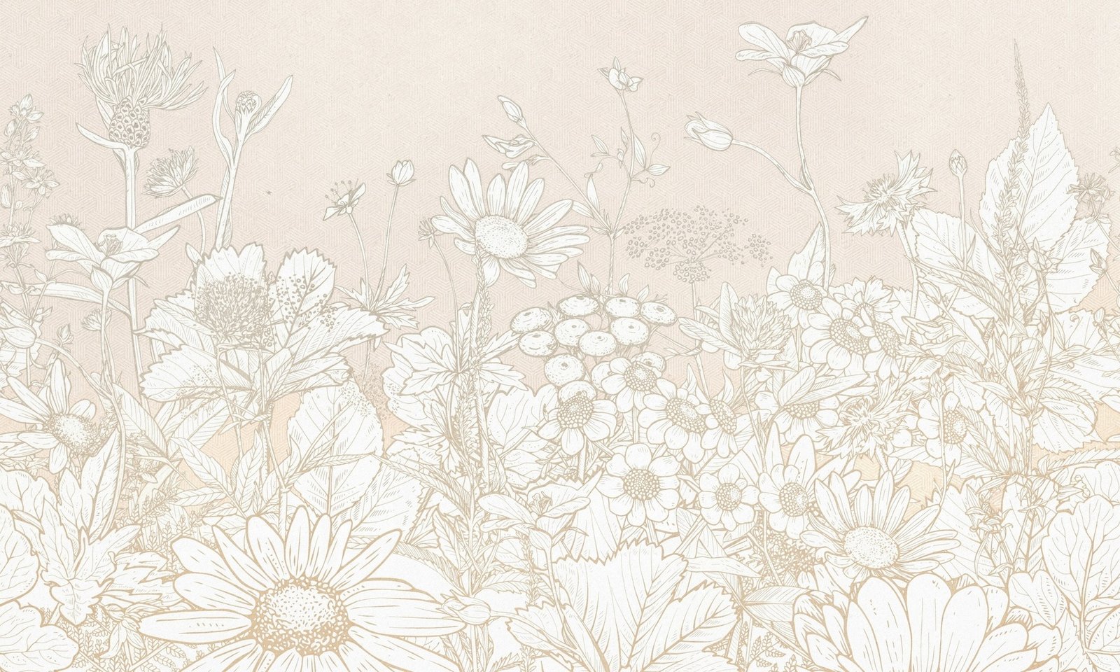 Daisy 1