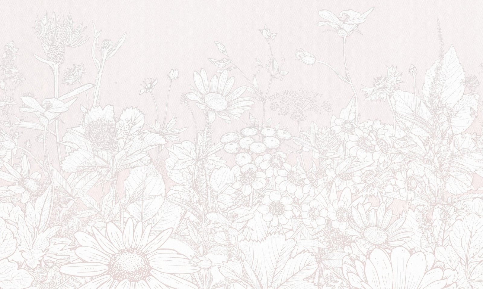 Daisy 2