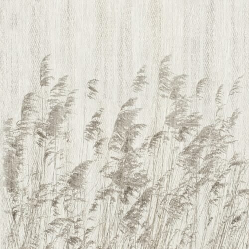 Papier peint Whisper RoLL — variant 1