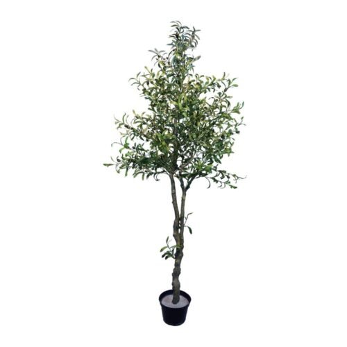 Arbre d'olivier artificiel Oliwka 210 cm